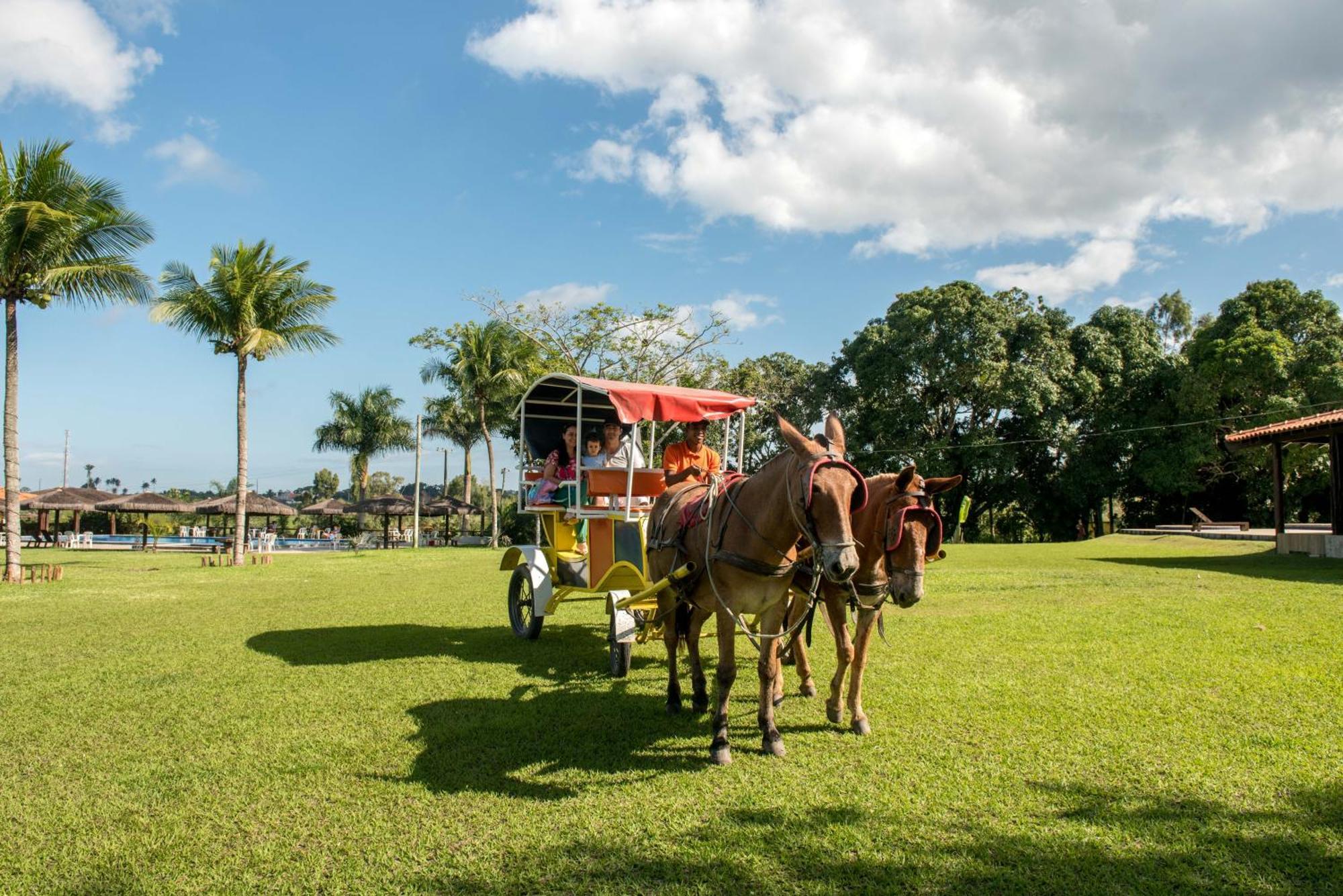 Hotel Fazenda Mirage Feira de Santana Εξωτερικό φωτογραφία